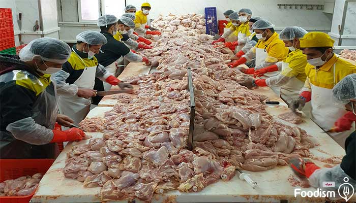 خرد کردن مرغ در کارخانه سوسیس و کالباس معتبر