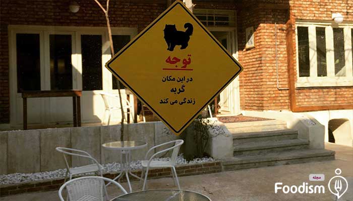 کافه گیاهی موزه گربه ایرانی