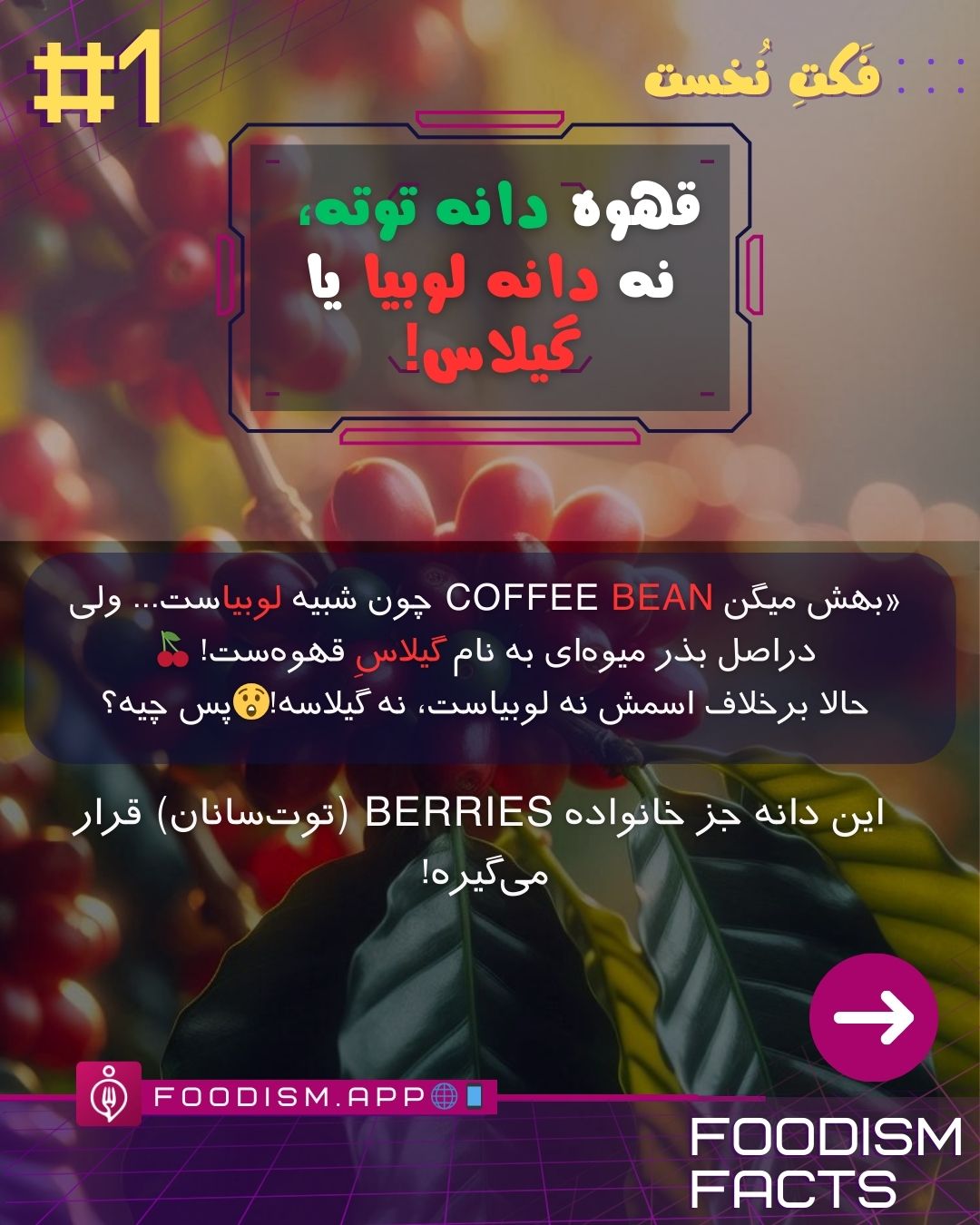 راز قهوه از چی درست میشه؟